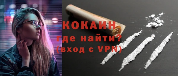 индика Богданович